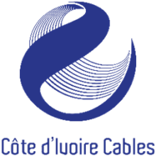 CIC Logo